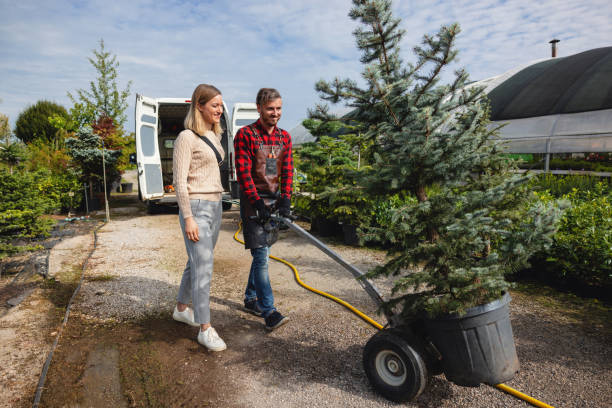 Buena Vista, MI Tree Service Company